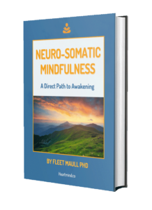 Neuro Somatic Mindfulness A Direct Path To Awakening