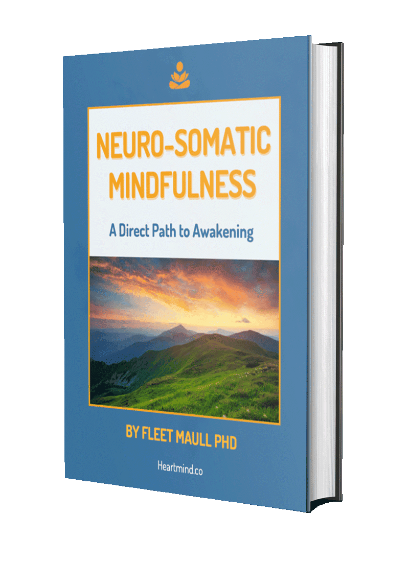 Neuro Somatic Mindfulness A Direct Path To Awakening