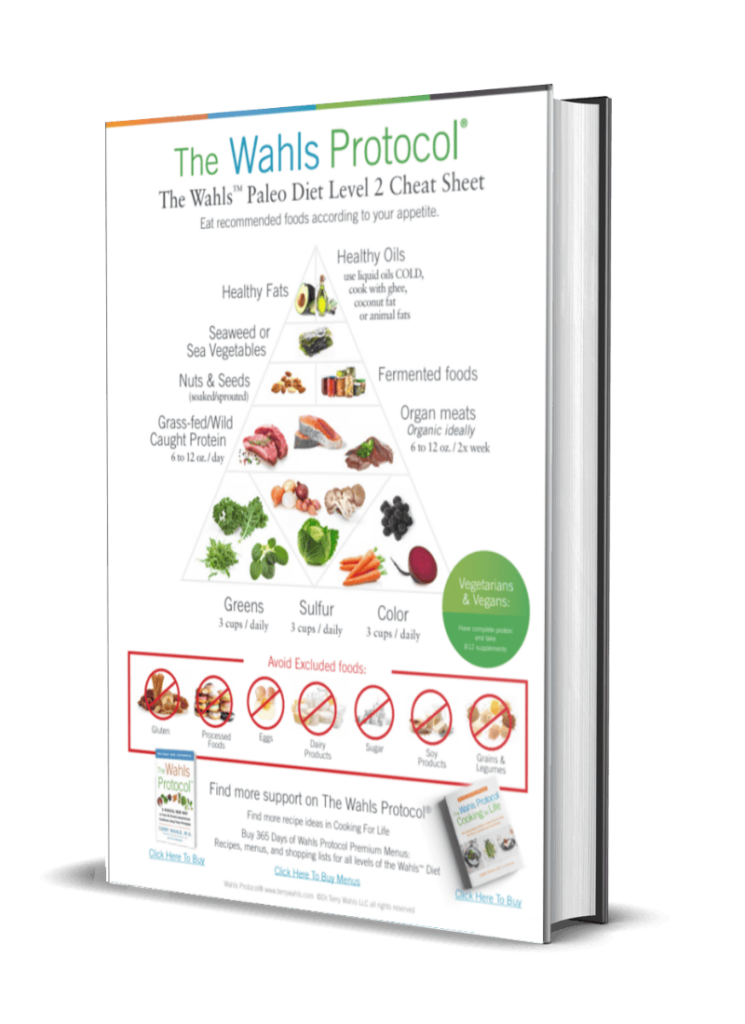 Unlocking The Power Of Cellular Health For MS Support