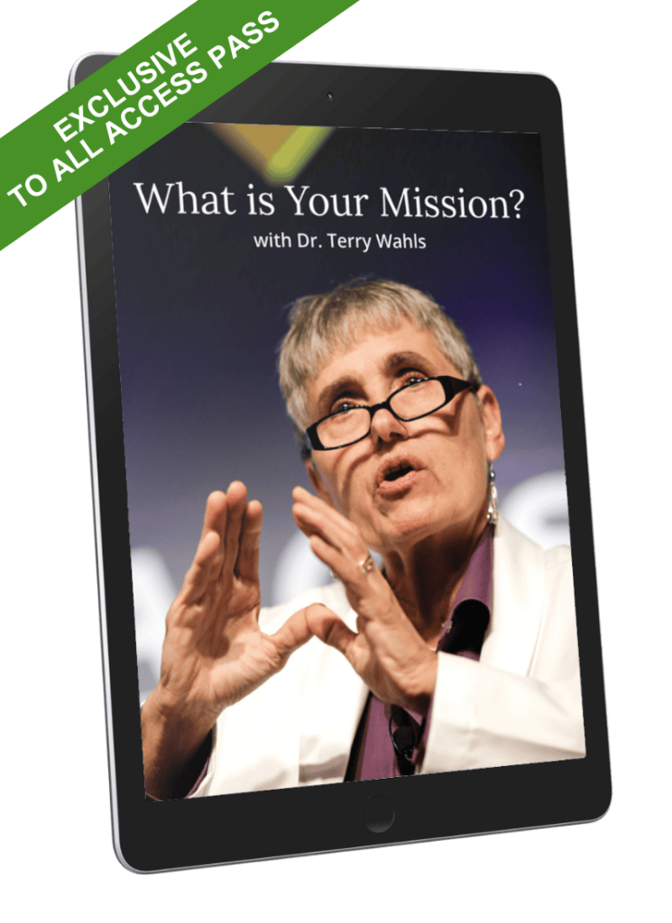 What is your mission VIP